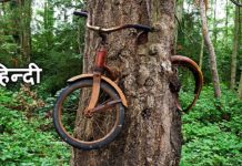 VIDEO: दुनिया के 5 सबसे बड़े रहस्य जो क़भी सुलझे हि नहीं जानें इस वीडियो में…