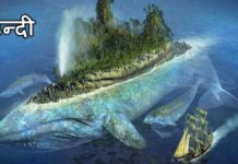 VIDEO: जानते हैं जानवरों का 8 रहस्यमय आइलैंड…