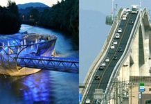 VIDEO: दुनिया क़े सबसे बेहतरीन ब्रिज…