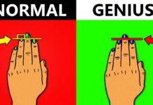 VIDEO: 10 लक्षण जो बताते है की आप वास्तव में एक प्रतिभाशाली हैं hot news update in the top video base portal of india visit hotnewsupdate.com