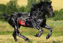 VIDEO: देख कर आप भी होजाएगे हैरान जब जाने गे रोबोट्स पशु के बारे में