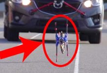 VIDEO: विश्व में 5 सबसे तेज रोबोट