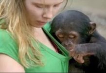 VIDEO: क्या आप इस वीडियो को देख़ कर आप अपनी हँसी को रोक सकेंगे?