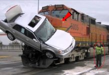 VIDEO: जब कैमरे में कैद हुई मौत को मात देने वाली घटनाऐ देखें इस वीडियो मै…