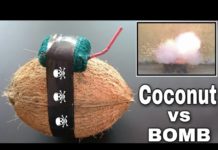 VIDEO: नारियल पर लगा बम फ़टने क़े बाद हुआ ये…देखें इस वीडियो में