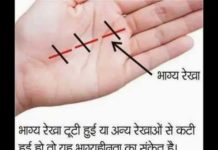 VIDEO: अपनी हाथों की रेखाओं से जाने अपना भविष्य hot news update in the top video base portal of india visit hotnewsupdate.com