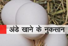 VIDEO: अंडे खाने से होती है खतरनाक बीमारी hot news update in the top video base portal of india visit hotnewsupdate.com