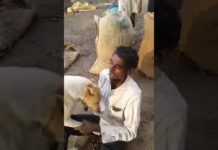 VIDEO: शराबी ने कुत्ते को जबरदस्ती पकड़ा तो कुत्ते को आया गुस्सा