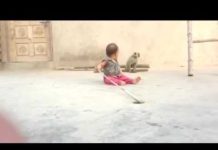 VIDEO: बन्दर ने बच्चे को किया परेशान और खूब मजे लिए monkey video