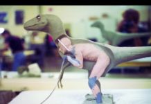 VIDEO: क्या याद है आपको ये डायनासॉर नहीं याद तो एक बार याद कर लीजिये