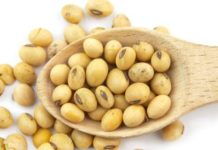 अंडे से भी पावर फुल सोयाबीन soybean-for-beauty