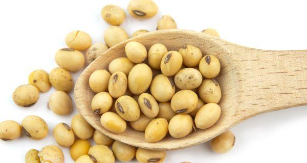 soybean-for-beauty