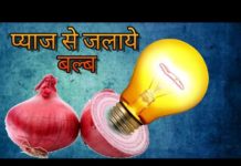 इस तरीके से आप प्याज से बिजली बनाना सिख सकते हैं