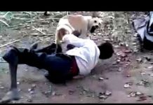 FUNNY VIDEO: नशे की हालत में इस आदमी की ये करतूत देख आप भी हस पड़ेंगे