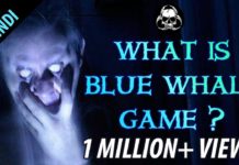 सावधान: ब्लू व्हेल गेम खेलने से बचे, पहले पढ़ लें ये खबर