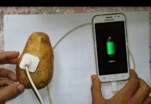 इस तरह आलू की मदद से चार्ज करे अपना मोबाइल