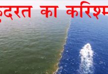 देखिये कुदरत का सबसे बड़ा करिश्मा, अपनी आँखों पर यकीन नहीं करेंगे