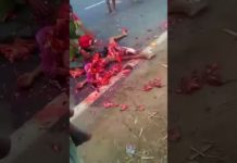 सावधान: कमजोर दिल वाले ये दर्दनाक वीडियो न देखें