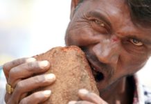 मिलिए ऐसे आदमी से जो एक पत्थर खाए बिना जिंदा नहीं रह सकता देखकर हैरान हो जाएंगे आप