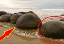 HOT NEWS UPDATE : लोग समझ रहे थे इसे पत्थर लेकिन ये तो कुछ और निकला || जानने के लिए देखिये ये वीडियो