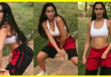 बिग बोस की इस महिला एक्ट्रेस ने करा बेहद शानदार और हॉट डांस, देखें वीडियो