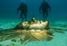 HOT NEWS UPDATE- दुनिया के बड़े खजाने जो गलती से मिले लोगों को