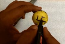 HOT NEWS UPDATE : नींबू की सहायता से कैसे करे किसी को वश में || जानने के लिए देखिये ये वीडियो