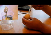 HOT NEWS UPDATE- लड़के ने डाला मुर्गी के अंडे में अपना स्पर्म, फिर जो निकला वो किसी ने सोचा भी नहीं