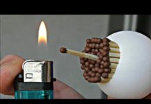 HOT NEWS || साइंस के कुछ ऐसे अजीबोगरीब एक्सपेरिमेंट देखकर हैरान हो जायेगे आप