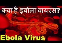 जाने क्या है इबोला वायरस, कैसे फैलता है ये Ebola virus