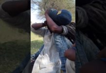 जंगल में लड़के ने लड़की के साथ करी जबरदस्ती, देखिये वीडियो