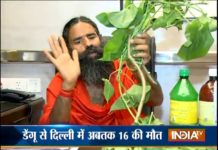 HOT NEWS UPDATE : तो यह है डेंगू का रामबाण नुस्खा || जानने के लिए देखिये ये वीडियो