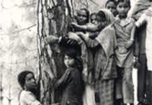 VIDEO:चिपको आन्दोलन की पेंतालीसवी वर्षगांठ आज|जानने के लिए देखिये ये वीडियो|