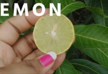 HOT NEWS UPDATE : इस नुस्खे को करेंगे तो दूध की तरह गोरे हो जायेगे