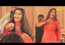 सपना चौधरी ने इस गाने पर दिखाया अपना जलवा कि लोग देखते ही रह गए