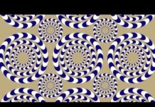 आँखो का धोखा या सच और जानिए अंतरिक्ष में जाने वाले पहले कुत्ते के बारे में