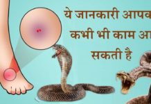 अगर सांप काट ले तो तुरंत करें यह 3 उपाय, जिंदगी बच जाएगी