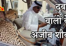ये अजीब चीज़ें सिर्फ आपको दुबई में मिलेंगी