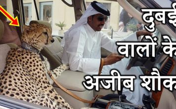 ये अजीब चीज़ें सिर्फ आपको दुबई में मिलेंगी
