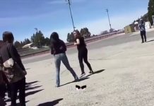 OMG… लड़ाई करते करते लड़कियों ने फाडे एक दूसरे के कपडे, देखें वीडियो