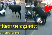 लड़कियों के ऊपर चढ़ा सांड, करा यह काम