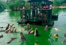 दुनिया के 5 सबसे खतरनाक पर्यटन स्थल, जहाँ जाने से पहले लोग बार-बार सोचते हैं|