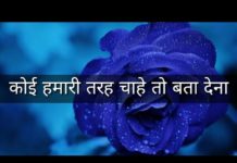 सुनिए दिल को छू जाने वाली शायरी, इमोशनल हो जाएंगे|