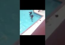 देखिये लड़कियों की स्विमिंग पूल में लड़ाई बानी एक दूसरे की दुश्मन