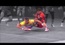 देखिये प्रो कब्बडी लीग के सबसे शानदार टेकल्स और रेड