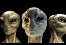 दूसरी दुनिया से आया एक एलियन, देखें वीडियो