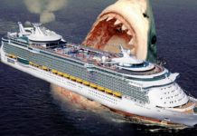 दुनिया की सबसे बड़ी शार्क, हाथी भी मच्छर जैसा हैं इसके सामने