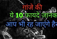 गांजा के यह चौकाने वाले फायदे और नुकसान, जानकार हैरान हो जाएंगे