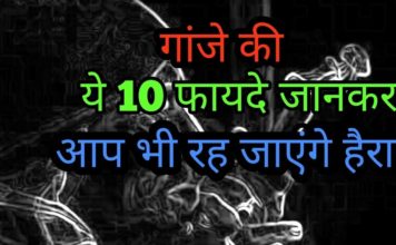 गांजा के यह चौकाने वाले फायदे और नुकसान, जानकार हैरान हो जाएंगे