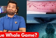 2017 में इस वीडियो गेम ने ली थी हजारो जाने, भूले तो नहीं